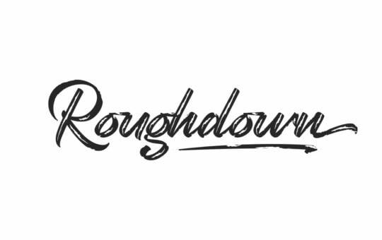 Roughdown-Brush-Script-Font-1.jpg