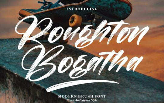 Roughton-Bogatha-Brush-Font-1.jpg
