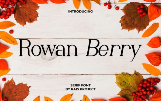 Rowan-Berry-Serif-Font-1.jpg