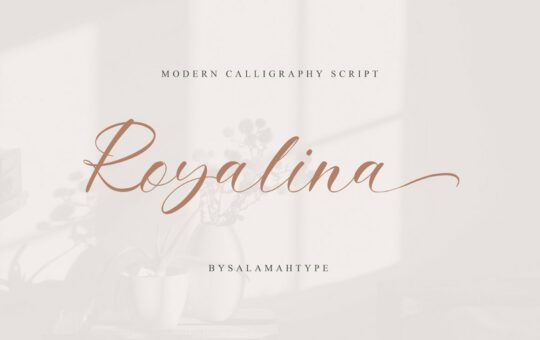Royalina-Modern-Script-Font-1.jpg