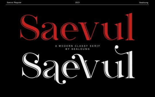 Saevul-Modern-Serif-Font-1.jpg