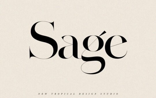 Sage-Modern-Serif-Typeface-1.jpg