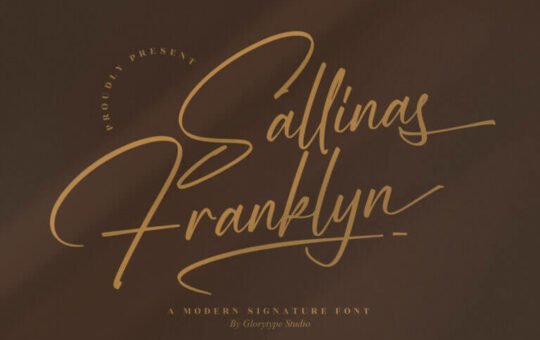 Sallinas-Franklyn-Script-Font-1.jpg