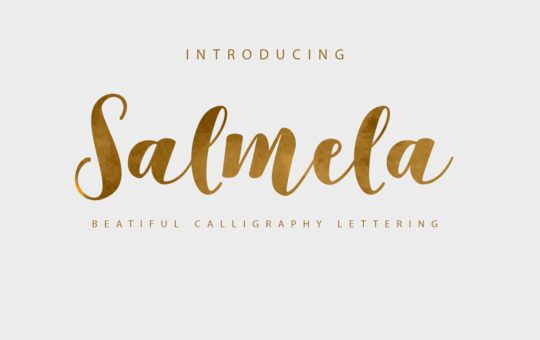 Salmela-Script-Calligraphy-Font-1.jpg