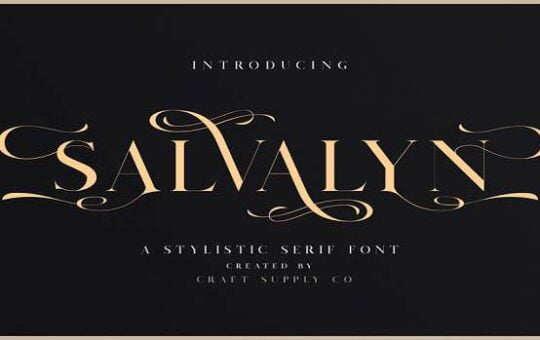Salvalyn-Font.jpg
