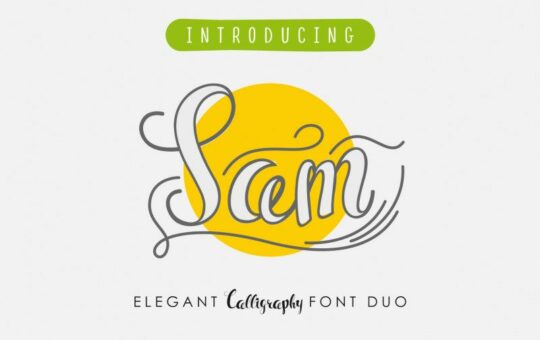 Sam-Script-Font.jpg