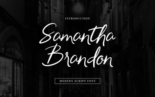 Samantha-Brandon-Script-Handwritten-Font-1.jpg