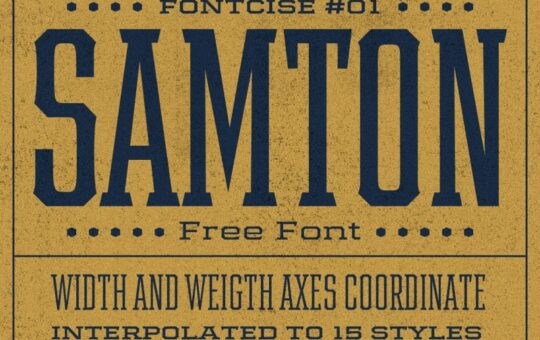 Samton-Display-Font-Family-1.jpg