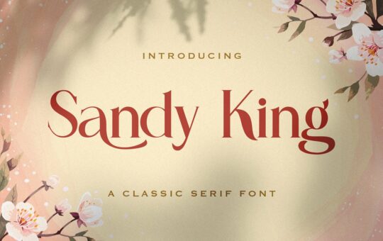 Sandy-King-Casual-Serif-Font-1.jpg