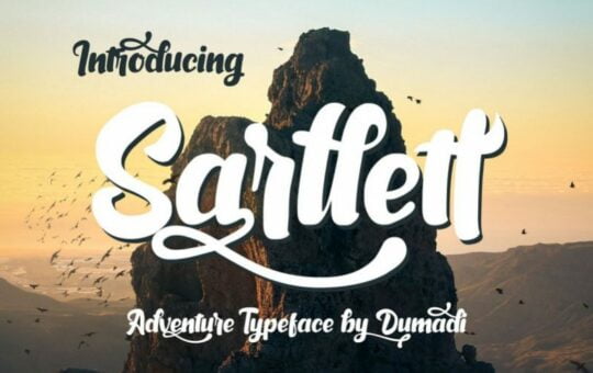 Sarllett-Script-Font-1.jpg