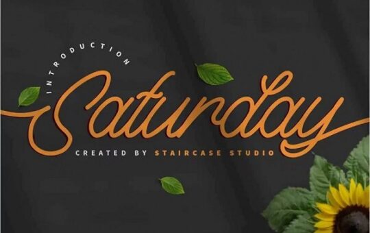Saturday-Monoline-Script-Font-1.jpg