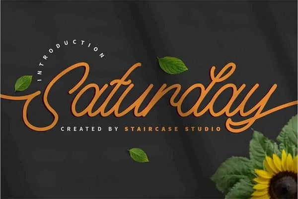 Saturday-Monoline-Script-Font-1.jpg