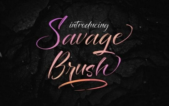 Savage-Brush-Font-1.jpg