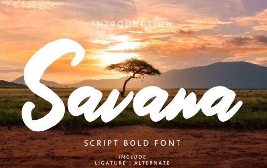 Savana-Script-Bold-Font-1.jpg