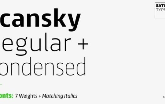 Scansky-Sans-Serif-Font-1.jpg