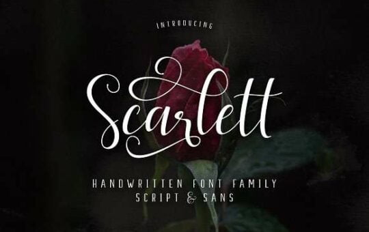 Scarlett-Script-font.jpg