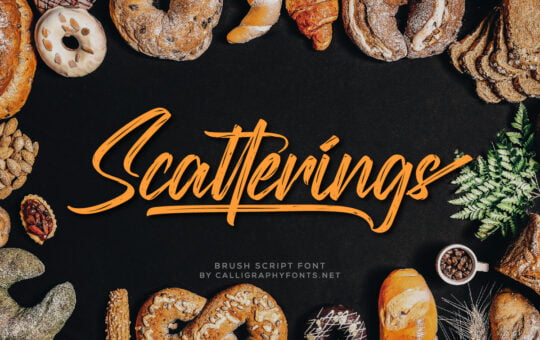 Scatterings-Brush-Script-Font-1.jpg