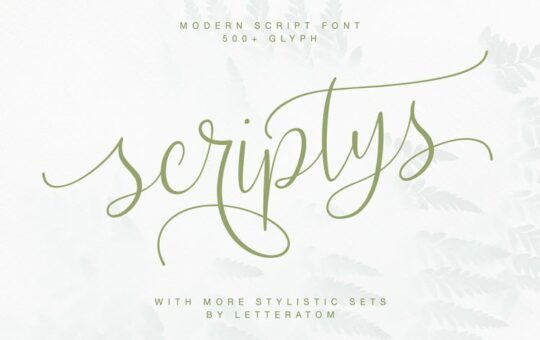 Scriptys-Font-1.jpg