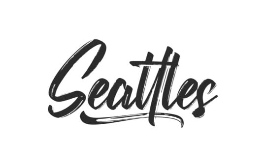 Seattles-Brush-Font-1.jpg