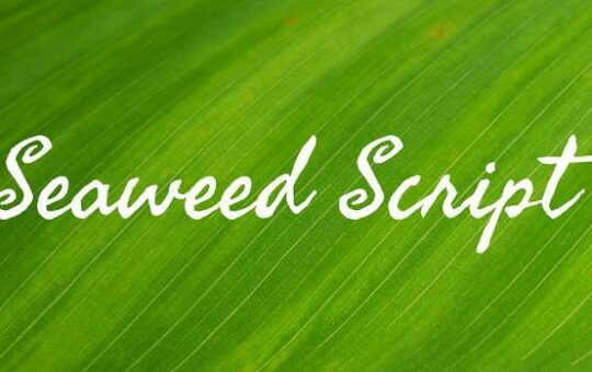 Seaweed-Script.jpg