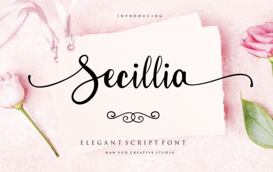 Secillia-Fonts-1-1.jpg