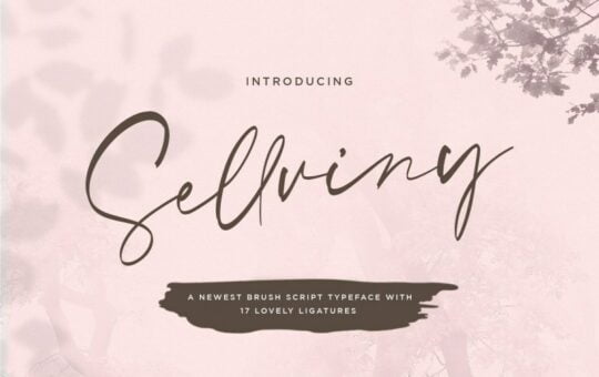 Sellviny-Handwritten-Brush-Font-1.jpg