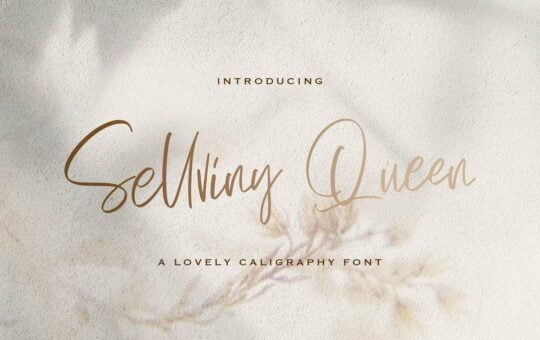 Sellviny-Queen-Handwritten-Script-Font-1.jpg