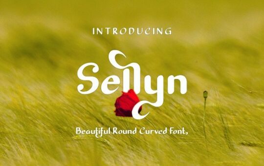 Sellyn-Font.jpg