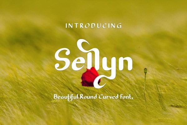 Sellyn-Font.jpg