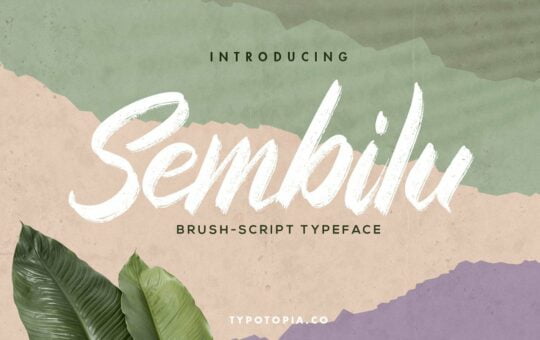Sembilu-Brush-Script-Typeface.jpg