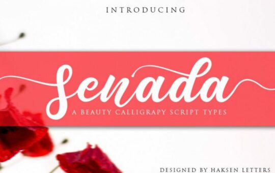Senada-Calligraphy-Font.jpg