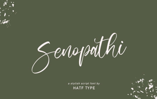 Senopathi-Stylish-Script-Font-1.jpg