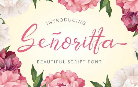 Senoritta-Script-Font.jpg