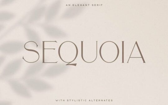 Sequoia-Font.jpg
