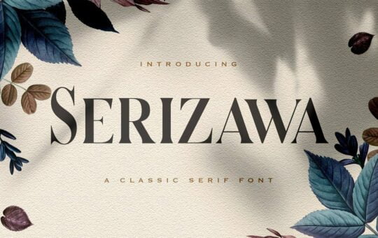 Serizawa-Font.jpg