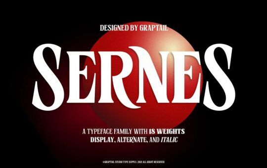 Sernes-Bold-Serif-Font-Family-1.jpg