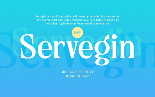 Servegin-Font.jpg