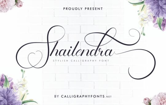 Shailendra-Calligraphy-Script-Font-1.jpg