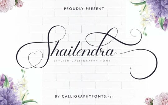 Shailendra-Fonts-5284092-1-1.jpg