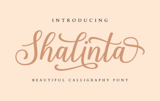 Shalinta-Calligraphy-Font.jpg