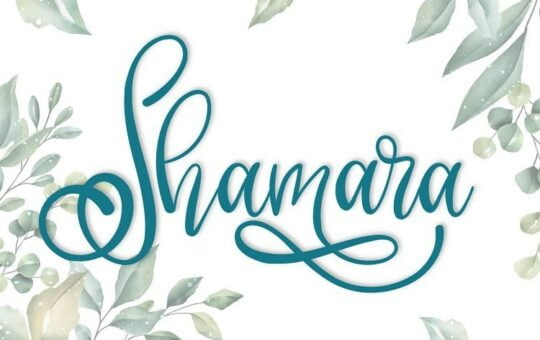 Shamara-Calligraphy-Font.jpg