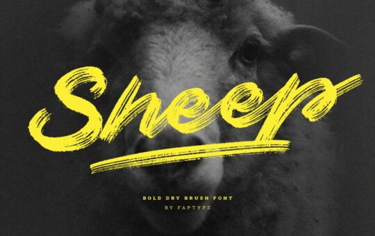 Sheep-Brush-Script-Font-1.jpg