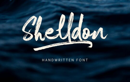 Shelldon-Brush-Script-Font-1.jpg