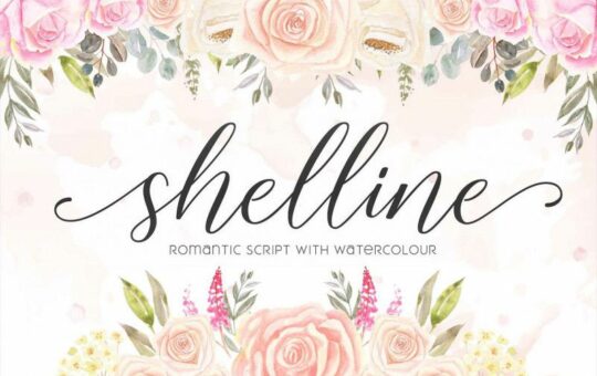 Shelline-Script-Font-1.jpg