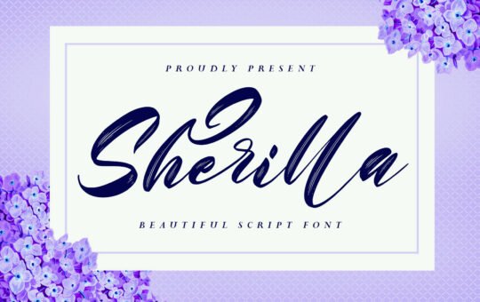 Sherilla-Modern-Brush-Font-1.jpg