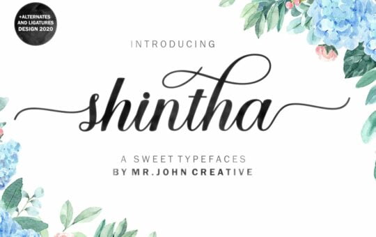 Shintha-Calligraphy-Font-1.jpg