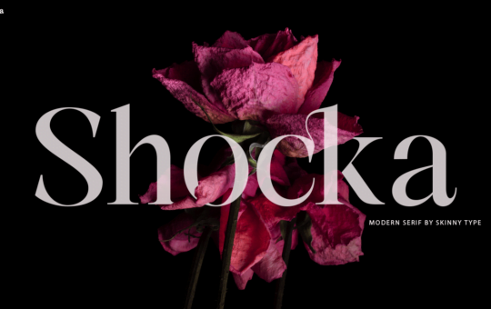 Shocka-Serif-Font-1.png