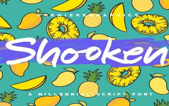 Shooken-Font.jpg