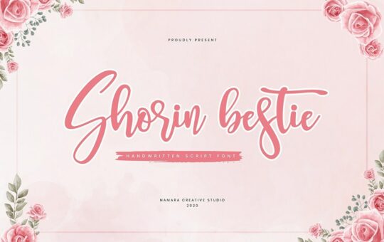 Shorin-Bestie-Calligraphy-Script-Font.jpg