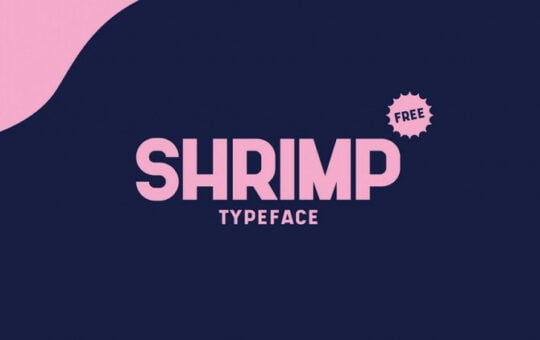 Shrimp-Sans-Serif-Typeface-1.jpg
